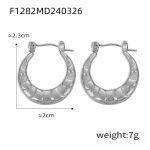 color: F1282-Steel Color Earrings