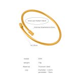 color: Z201-Gold Bangle