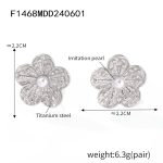 color: F1468-Steel Color Earrings