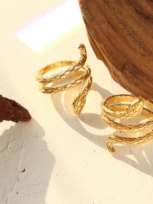Cold Surrounding Snake Ring Female Non-Fading Cold Trendy Personalized Stainless Steel Ring Hand Jewelry A132