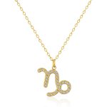 color: Capricorn