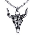 color: Bull + Stainless Steel Chain