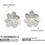 color: F1445-Steel Color Earrings