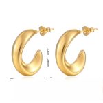 color: Irregular C Shape Earrings Gold MS-018