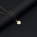 color: Shell -D(With Chain)