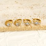 Exquisite Stainless Steel Micro Inlaid Zirconium Ear Clip Women's Retro Cute Cat Claw Earrings