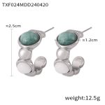color: TXF024-Steel Color Earrings