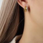 color: F284-Gold-Steel Color Earrings