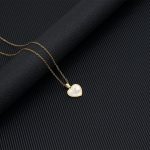 color: Shell -Z (With Chain)