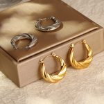 Twist Irregular Stainless Steel Earrings Simple Retro Women's Light Luxury Earrings