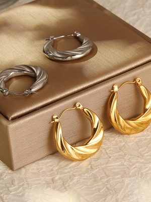 Twist Irregular Stainless Steel Earrings Simple Retro Women's Light Luxury Earrings