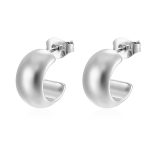 color: Curved Surface Half Round Earrings Steel Color MS-605