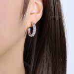 color: F804-Steel Color Earrings
