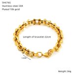 color: SH676G