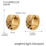 color: F1212-Black Zircon Earrings -Medium