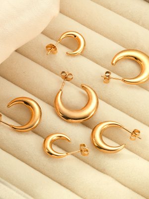 INS Pop Premium Moon Shape Stainless Steel Earrings for Women 18K Gold Plating Earrings