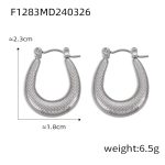 color: F1283-Steel Color Earrings