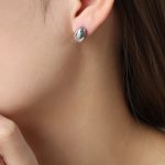 color: F1045-Steel Color Earrings