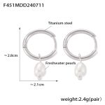 color: F451-Steel Color Earrings