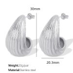 color: EH43 Silver Earrings