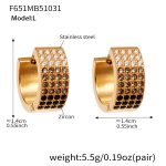 color: F651-Black Zircon Earrings -Large