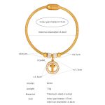 color: Z244-Gold Bangle