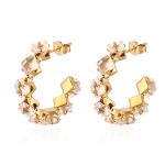 color: Claw Earrings Champagne Rhinestone MS-498