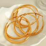 Exaggerated Circle Advanced Personalized Metal Earrings Light Luxury Stainless Steel Earrings Big Circle Women's Ear Ring