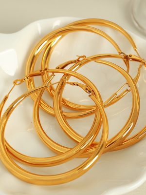 Exaggerated Circle Advanced Personalized Metal Earrings Light Luxury Stainless Steel Earrings Big Circle Women's Ear Ring