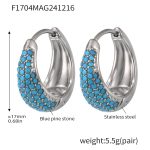 color: F1704-Steel Color Blue Turquoise Earrings -Large