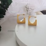color: F484-Steel Color Earrings 1 Pair