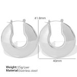 color: EH324 Silver Earrings