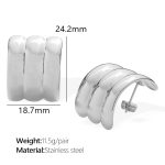 color: EH842S Silver Earrings
