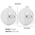 color: EH479 Silver Earrings