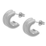 color: F284-Steel Color Earrings