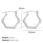 color: EH37S Silver Earrings