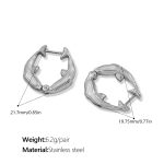 color: EH951S Silver Earrings
