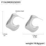 color: F1563-Steel Color Earrings