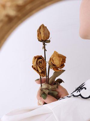 Long Fringe Earrings Socialite Same Style All-Matching Stainless Steel Ear Rings Generation F547 Light Luxury Advanced