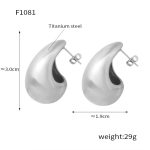 color: F1081-Matte Steel Color Earrings