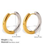 color: EH1360SG Two-tone Gold Color Earrings