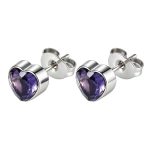 color: Heart Stud Earrings Purple Zircon Steel Color
