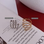 French Double-Layer Spring Twist Spinning Ring Variety Finger Circumference Stainless Steel 18K Gold Accessories A093