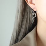 color: F694-Steel Color Earrings