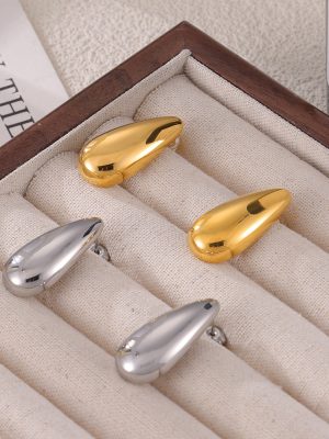 Water Drop Shape Glossy Stainless Steel Earrings New Cold Simple Casual Earrings