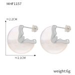 color: F1157-Steel Color Earrings