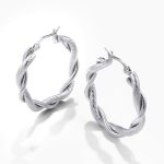 color: Two-strand Wire Twist Twist Shape Earrings Steel Color