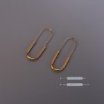 Long Pin Earrings Jewelry Ear Hook Stainless Steel Plated 18K Real Gold Non-Fading Women's Light Luxury Advanced