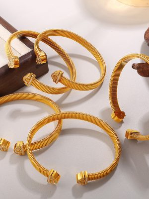 New Goose Throat Chain Bracelet Stainless Steel 18K Gold Plating Non-Fading Light Luxury Exaggerated Jewelry Women