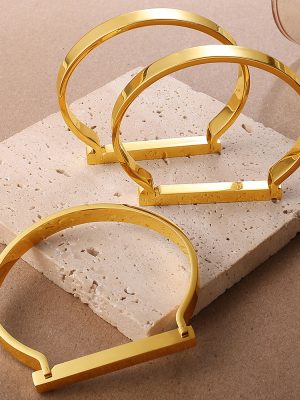 New Light Luxury Geometric D-Shaped Bracelet Stainless Steel Design Advanced Ornament